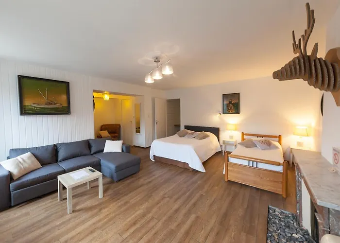 瑞莱斯佩尔和菲斯阿尔萨斯洛林酒店 酒店 Raon-lʼÉtape